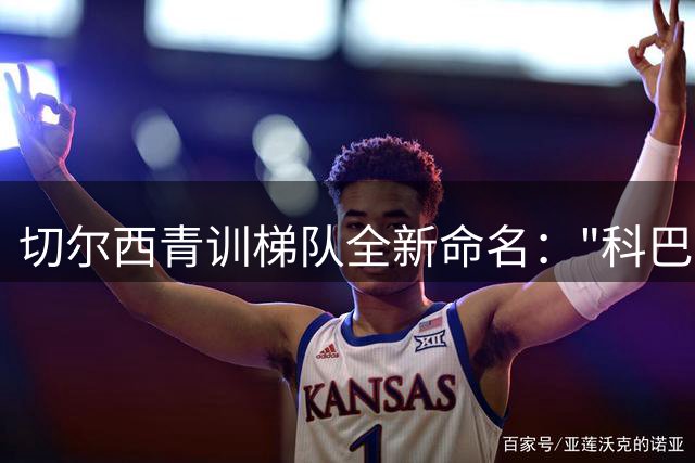 切尔西青训梯队全新命名："科巴姆下一代
